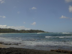 Hawaii Coast