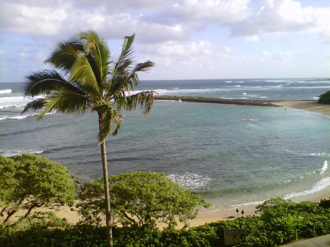 /home/wpcom/public_html/wp-content/blogs.dir/291/22654479/files/2011/11/img-20111112-00169.jpg OOO, heaven is a place on earth. it is called Hawaii.